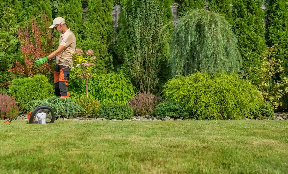 Un homme en extérieur qui travaille dans un jardin avec un gazon qui jaunit